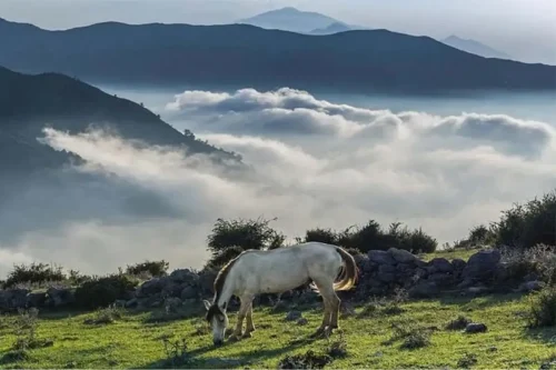 ییلاق فیلبند کجاست؟ راهنمای کامل سفر به فیلبند و اقیانوس ابر