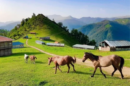 ماسال کجاست؟ راهنمای کامل سفر به ماسال و ییلاقات ماسال