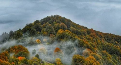 جنگل الیمستان کجاست؟ راهنمای سفر به اقیانوس ابرها و تور شمال